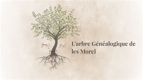 Guillaume Morel : Family tree by Richard NELSON (rnelson